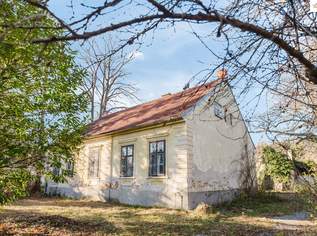 Traumhafte Liegenschaft in Pitten – Großzügiges Bauland mit charmantem Altbestand, 495000 €, Immobilien-Häuser in 2823 Gemeinde Pitten Traumhafte Liegenschaft in Pitten – Großzügiges Bauland mit charmantem Altbestand, 495000 €, Immobilien-Häuser in 2823 Gemeinde Pitten