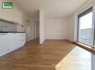 Wundervolle 2-Zimmer-Wohnung mit großer, privater Dachterrasse nahe Rathausplatz, 880.09 €, Immobilien-Wohnungen in 3100 Stattersdorf