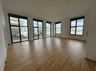 Ihr neuer Standort in Aspern: 85m2-Geschäftslokal in bester Seebogen-Lage, 922.26 €, Immobilien-Gewerbeobjekte in 1220 Donaustadt