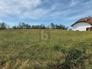 PERFEKT FÜR GARTEN & WOHNWAGEN: 655 M² FREIZEIT-OASE IN NATURLAGE, 19960 €, Immobilien-Grund und Boden in 3372 Katastralgemeinde Blindenmarkt PERFEKT FÜR GARTEN & WOHNWAGEN: 655 M² FREIZEIT-OASE IN NATURLAGE, 19960 €, Immobilien-Grund und Boden in 3372 Katastralgemeinde Blindenmarkt