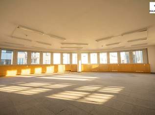 MODERNE BÜROFLÄCHEN, 7876 €, Immobilien-Gewerbeobjekte in 1050 Margareten