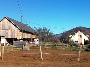 Landwirtschaft ca. 3,3 ha, mit Hofstelle, 459000 €, Immobilien-Gewerbeobjekte in 9371 Brückl Landwirtschaft ca. 3,3 ha, mit Hofstelle, 459000 €, Immobilien-Gewerbeobjekte in 9371 Brückl