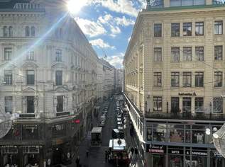 BÜRO - ORDINATION - STUDIO | HABSBURGERGASSE, 7173.23 €, Immobilien-Gewerbeobjekte in 1010 Innere Stadt