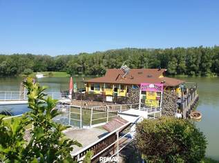 "Die African Queen auf der Donau, deine Chance auf Kult Gastro mit Traumlage", 299000 €, Immobilien-Gewerbeobjekte in 3422 Greifenstein