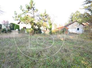 3 nebeneinanderliegende Baugrundstücke mit Altbestandsgebäuden!, 1199000 €, Immobilien-Grund und Boden in 1220 Donaustadt 3 nebeneinanderliegende Baugrundstücke mit Altbestandsgebäuden!, 1199000 €, Immobilien-Grund und Boden in 1220 Donaustadt