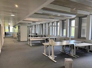 ViE: Effiziente, ökologische Bürofläche an der Erdberger Lände in 1030 Wien zu mieten, 17.3 €, Immobilien-Gewerbeobjekte in 1030 Landstraße