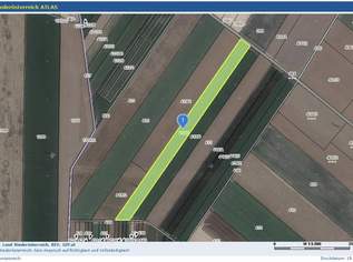 Landwirtschaftliche Fläche zwischen Oberweiden und Weikendorf! Mega Chance für alle Landwirte, 0 €, Immobilien-Grund und Boden in 2253 Stripfing