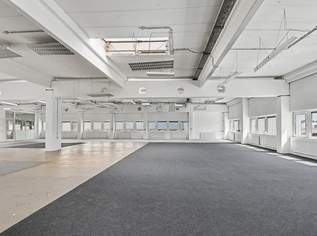 Atelier Produktion Großraum mit Nebenräumen Aufzug Lift möglich, 15812.5 €, Immobilien-Gewerbeobjekte in 1230 Liesing
