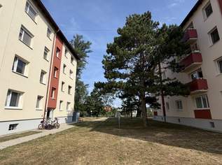 Gemütliches Zuhause, 169000 €, Immobilien-Wohnungen in 2524 Gemeinde Teesdorf Gemütliches Zuhause, 169000 €, Immobilien-Wohnungen in 2524 Gemeinde Teesdorf