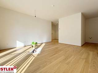 Platz für Alle in dieser kompakten Wohnung, 529000 €, Immobilien-Wohnungen in 2371 Katastralgemeinde Hinterbrühl