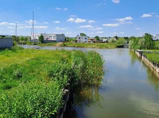 EXKLUSIVES SEEGRUNDSTÜCK MIT PRIVATEM SEEZUGANG IN OGGAU AM NEUSIEDLER SEE, 350000 €, Immobilien-Grund und Boden in 7063 Oggau am Neusiedler See EXKLUSIVES SEEGRUNDSTÜCK MIT PRIVATEM SEEZUGANG IN OGGAU AM NEUSIEDLER SEE, 350000 €, Immobilien-Grund und Boden in 7063 Oggau am Neusiedler See
