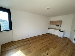 Gudrunstraße: Helle 2-Zimmer Wohnung, 840 €, Immobilien-Wohnungen in 1100 Favoriten