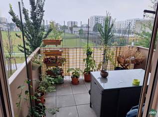 2-Zimmer mit Balkon ab 01.11. – Nähe U1 Kagraner Platz, 949 €, Immobilien-Wohnungen in 1220 Donaustadt
