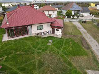 Geräumiges Einfamilienhaus mit großem Grundstück und Mehrzweckhalle in Grafenwörth, 550000 €, Immobilien-Häuser in 3484 Gemeinde Grafenwörth