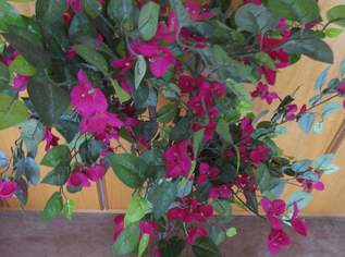 Kunstpflanze  - Deko - Blütenbusch - Bougainvillea Kunstpflanze  - Deko - Blütenbusch - Bougainvillea