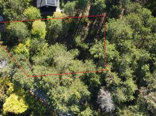 Wohnen wo die Natur beginnt - Waldrandgrundstück mit Option auf Waldpacht, 319000 €, Immobilien-Grund und Boden in 2721 Bad Fischau Wohnen wo die Natur beginnt - Waldrandgrundstück mit Option auf Waldpacht, 319000 €, Immobilien-Grund und Boden in 2721 Bad Fischau