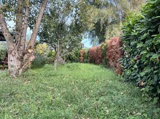 7061 Trausdorf - Rarität! Ideales Grundstück für ein Tinyhouse!, 85000 €, Immobilien-Grund und Boden in 7061 Trausdorf an der Wulka