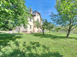 Praktische zwei Zimmerwohnung in Grünlage, 650 €, Immobilien-Wohnungen in 2540 Bad Vöslau Praktische zwei Zimmerwohnung in Grünlage, 650 €, Immobilien-Wohnungen in 2540 Bad Vöslau