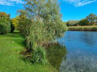 Oberes Mühlwasser - unbebautes, ebenes Grundstück!, 450000 €, Immobilien-Grund und Boden in 1220 Donaustadt