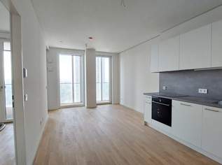 Exklusiver Erstbezug mit Rooftop Spa – TOWER HOMES, 1095 €, Immobilien-Wohnungen in 1220 Donaustadt