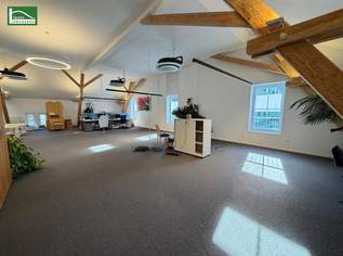 Ihr neuer Standort in Graz: 331 m² | Top-Anbindung | Modern saniert, 5080 €, Immobilien-Gewerbeobjekte in 8010 