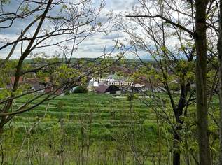 Verborgener Schatz im Reintal - ein Weinviertler Wohnjuwel mit Potenzial, 150000 €, Immobilien-Häuser in 2276 Reintal Verborgener Schatz im Reintal - ein Weinviertler Wohnjuwel mit Potenzial, 150000 €, Immobilien-Häuser in 2276 Reintal