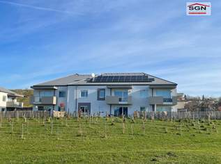 Neubauprojekt in Altlichtenwarth: Moderne 3-Zimmer Wohnung mit Terrasse, Garten und Carport, 1062.87 €, Immobilien-Wohnungen in 2144 Altlichtenwarth Neubauprojekt in Altlichtenwarth: Moderne 3-Zimmer Wohnung mit Terrasse, Garten und Carport, 1062.87 €, Immobilien-Wohnungen in 2144 Altlichtenwarth