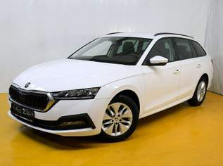 Octavia Combi 2,0 TDI Ambition DSG, 21799 €, Auto & Fahrrad-Autos in 4341 Arbing