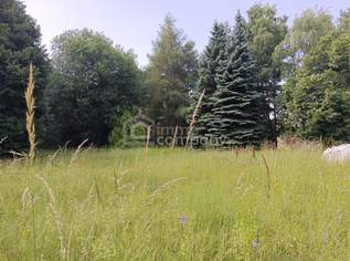 Großes Grundstück mit Waldbestand, 185000 €, Immobilien-Grund und Boden in 2812 Gemeinde Hollenthon Großes Grundstück mit Waldbestand, 185000 €, Immobilien-Grund und Boden in 2812 Gemeinde Hollenthon