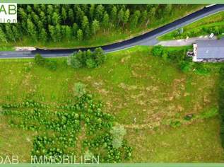 IHR PROJEKT AUF 4,7 HA ALMFLÄCHE | PANORAMABLICK GARANTIERT | IDEAL FÜR TOURISTISCHE NUTZUNG, 1599930 €, Immobilien-Grund und Boden in 9431 St. Marein