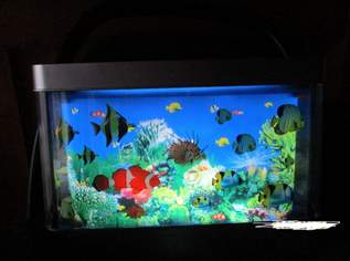 Kinder Aqarium Kinder Aqarium