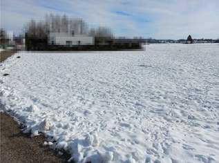 Baugrundstück ohne Bauzwang in ruhiger Lage, 130000 €, Immobilien-Grund und Boden in 5223 Pfaffstätt