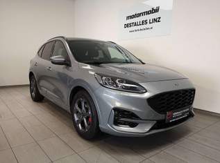 Kuga 2,0 EcoBlue Hybrid ST-Line X, 22990 €, Auto & Fahrrad-Autos in 4020 Bulgariplatz Kuga 2,0 EcoBlue Hybrid ST-Line X, 22990 €, Auto & Fahrrad-Autos in 4020 Bulgariplatz