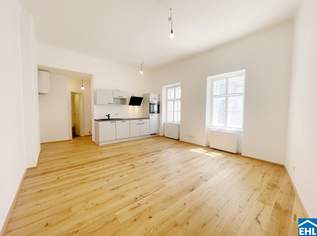 Schöne Single-Altbauwohnung in zentraler Lage, 895.09 €, Immobilien-Wohnungen in 1090 Alsergrund