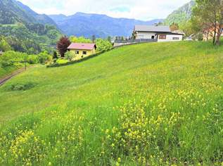 1704 m² Bauland ohne Bauzwang + 1.282 m² Grünland in einer Eckparzelle vereint - Weyer, 86000 €, Immobilien-Grund und Boden in 3335 Weyer