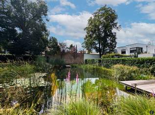 Exklusives Refugium mit Schwimmbiotop – Stilvoll möbliertes 2-Zimmer-Apartment in Ruhelage, 990 €, Immobilien-Wohnungen in 1130 Hietzing