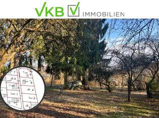 Großzügiges Grundstück in Spattendorf – Gemeinde Alberndorf in der Riedmark (GST 2438/3), 217000 €, Immobilien-Grund und Boden in 4211 Spattendorf