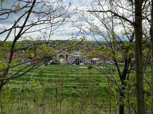 Verborgener Schatz im Reintal - ein Weinviertler Wohnjuwel mit Potenzial, 120000 €, Immobilien-Häuser in 2276 Reintal Verborgener Schatz im Reintal - ein Weinviertler Wohnjuwel mit Potenzial, 120000 €, Immobilien-Häuser in 2276 Reintal