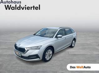 OCTAVIA Combi 4x4 Ambition TDI DSG, 20490 €, Auto & Fahrrad-Autos in 3580 Gemeinde Horn