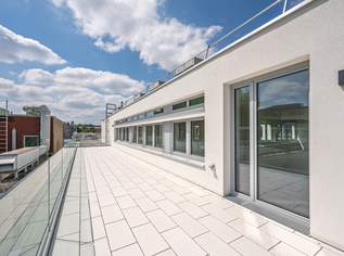 Erstbezug: Moderne Bürofläche in Hietzinger Bestlage, 5592.9 €, Immobilien-Gewerbeobjekte in 1130 Hietzing