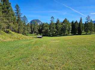 Naturnah investieren: Landwirtschafts- und Waldfläche!, 450000 €, Immobilien-Grund und Boden in 6105 Ahrn