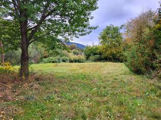 Baugrundstück mit ca. 930 m² in Otterthal – Bauland Agrargebiet, 79000 €, Immobilien-Grund und Boden in 2880 Otterthal Baugrundstück mit ca. 930 m² in Otterthal – Bauland Agrargebiet, 79000 €, Immobilien-Grund und Boden in 2880 Otterthal