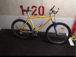 Ganzer Keller voller Sachen , 1200 €, Marktplatz-Antiquitäten, Sammlerobjekte & Kunst in 3400 Kierling