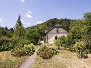 Verwunschenes Wohnhaus versteckt in großem Gartengrundstück, 1306 €, Immobilien-Häuser in 3150 Gemeinde Wilhelmsburg