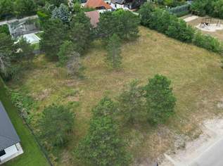 BAUTRÄGER aufgepasst - traumhafte Baugrundstücke!, 1282050 €, Immobilien-Grund und Boden in 2230 Gemeinde Gänserndorf BAUTRÄGER aufgepasst - traumhafte Baugrundstücke!, 1282050 €, Immobilien-Grund und Boden in 2230 Gemeinde Gänserndorf