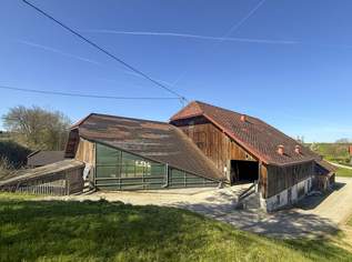 Bauland Dorfgebiet mit Bestand – 1.912 m² Potenzialfläche, 496000 €, Immobilien-Grund und Boden in 4851 Piesdorf