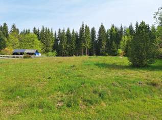 Schöner, ruhiger und großer Baugrund in Preitenegg - 1.100 m ü. A., 66000 €, Immobilien-Grund und Boden in 9451 Preitenegg