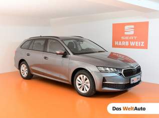 Octavia Selection TDI DSG, 31880 €, Auto & Fahrrad-Autos in 8160 Weiz Octavia Selection TDI DSG, 31880 €, Auto & Fahrrad-Autos in 8160 Weiz