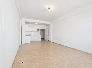 Laurenzi am Fluss, 490000 €, Immobilien-Wohnungen in 1010 Innere Stadt