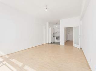 Laurenzi am Fluss- Wohnen und Arbeiten mit Weitblick!, 819000 €, Immobilien-Gewerbeobjekte in 1010 Innere Stadt